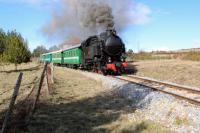 Trenino della Sila trenino