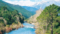 Fiume Le Tavignano nei pressi di Alèria Fiume Le Tavignano nei pressi di Alèria