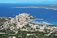calvi