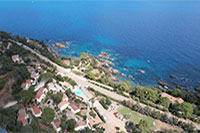 de canella