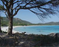 Corsica - Porto Vecchio,la spiaggia di Palombaggia