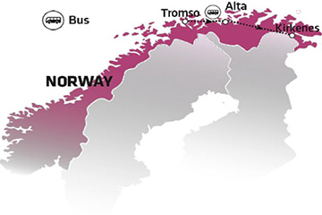 Norvegia norvegia
