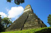 tikal
