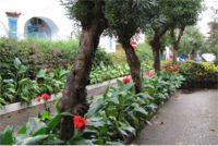 Grand Hotel delle Terme Re Ferdinando,ambiente