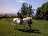 Agriturismo La Riserva di Montebello,maneggio