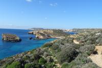 mare