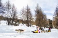 Uappala Hotel Sestriere sleddog slitta