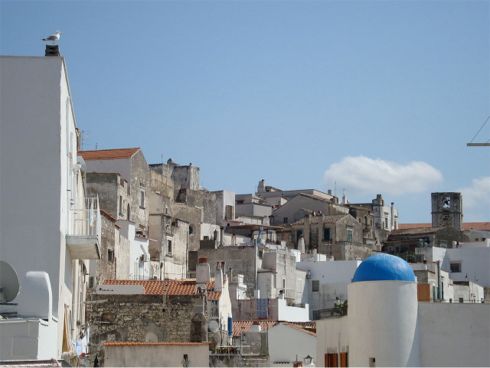 scorcio