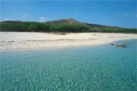 Spiaggia a 1,5 Km dal Residence Bouganvillage