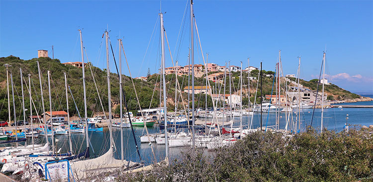 portocervo
