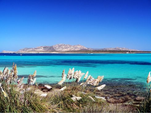 Stintino, Isola dell'Asinara vista da La Pelosa