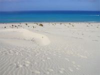 Stintino, La Pelosa ... spiaggia di bianchissima dai granelli di sabbia come chicchi di riso