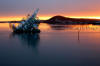 oslofjord fjord