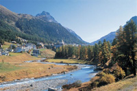 Pontresina in Estate
