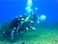 Isola d'Elba, scuba-diving: sub in immersione
