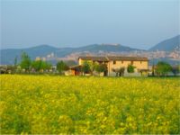 panoramivca