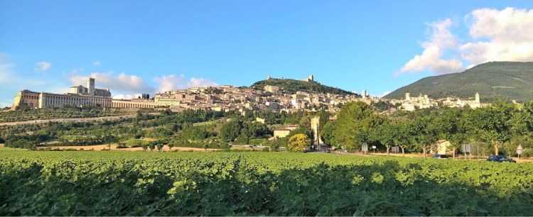 assisi