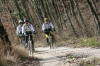 Le Terre Del Verde,Mountain Bike