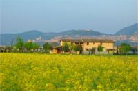 valla di assisi