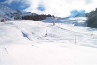 Pila, gara di sci piste